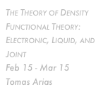 The Theory of Density Functional Theory: Electronic, Liquid, and Joint 
Feb 15 - Mar 15 Tomas Arias